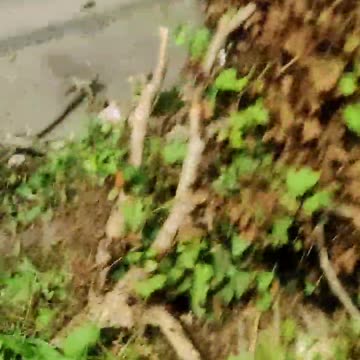 Terrible accidente entre Turbaco y Arjona deja muertos y heridos