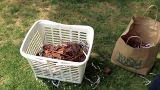 How to Make Compost in a Few Easy Steps - Compost Pile