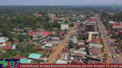 Oduu Waaree ONM-ABO Hagayya 29-2024 itti dhiyaadhaa!