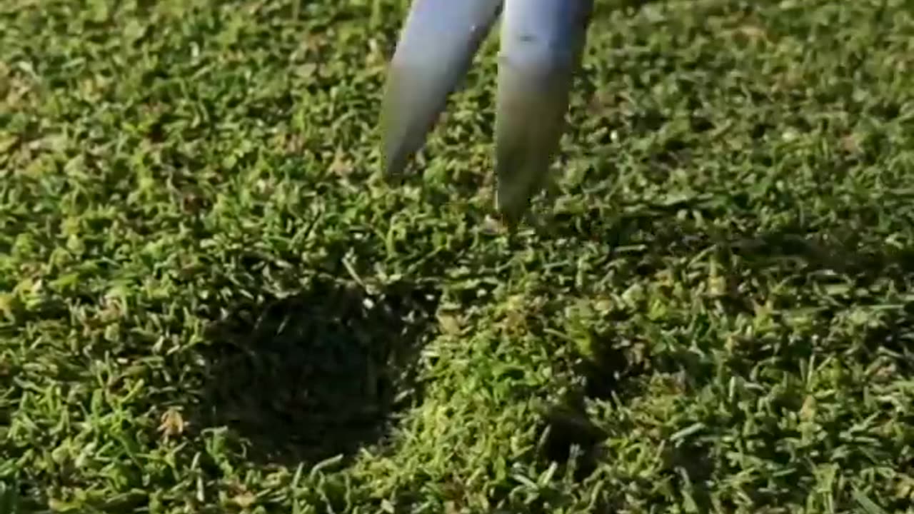 Satisfying Videos of Workers Doing Their Job Perfectly ▶11