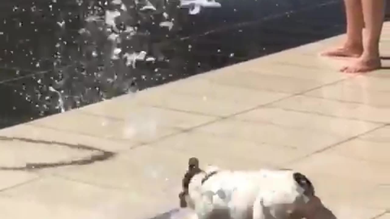 Playing with water