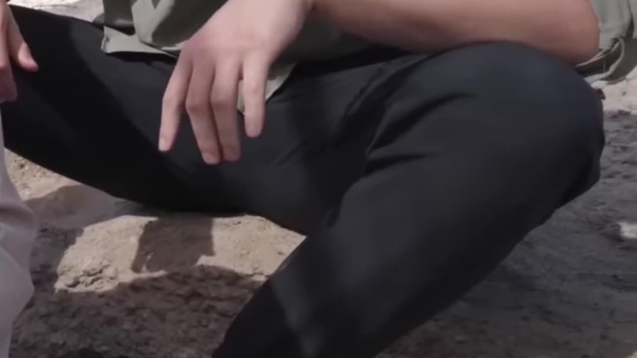 Unearthing a Massive Dinosaur Bone A Jaw-Dropping Discovery!