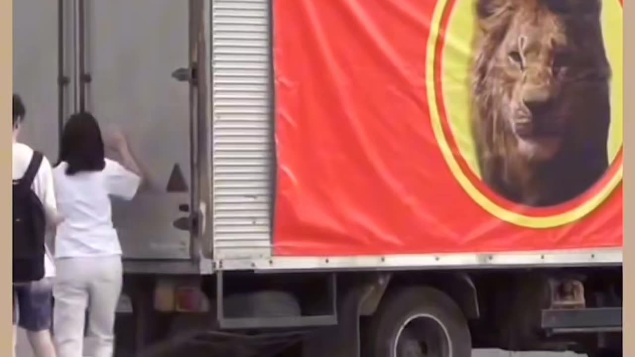 Lion prank on youngsters 🙀🙀🙀😅😅😅 | very funny video 😂😂😂,| meme compilation