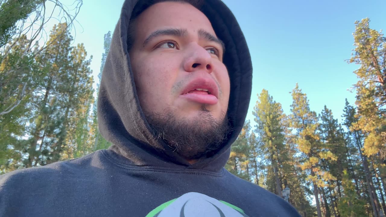 Vlog 268 Big bear