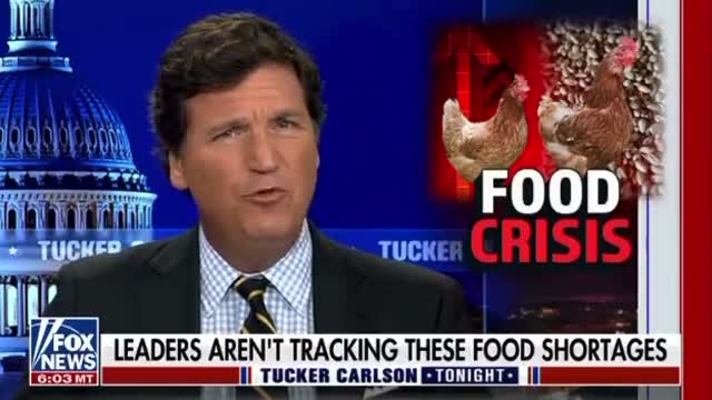 Tucker Exposes What National Egg Shortage Is Really About