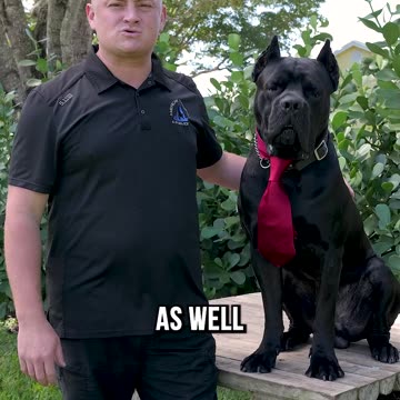 The Best Courses for That New Valentine’s Day Puppy