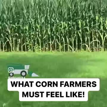 CORN FARMERS DURING HARVEST