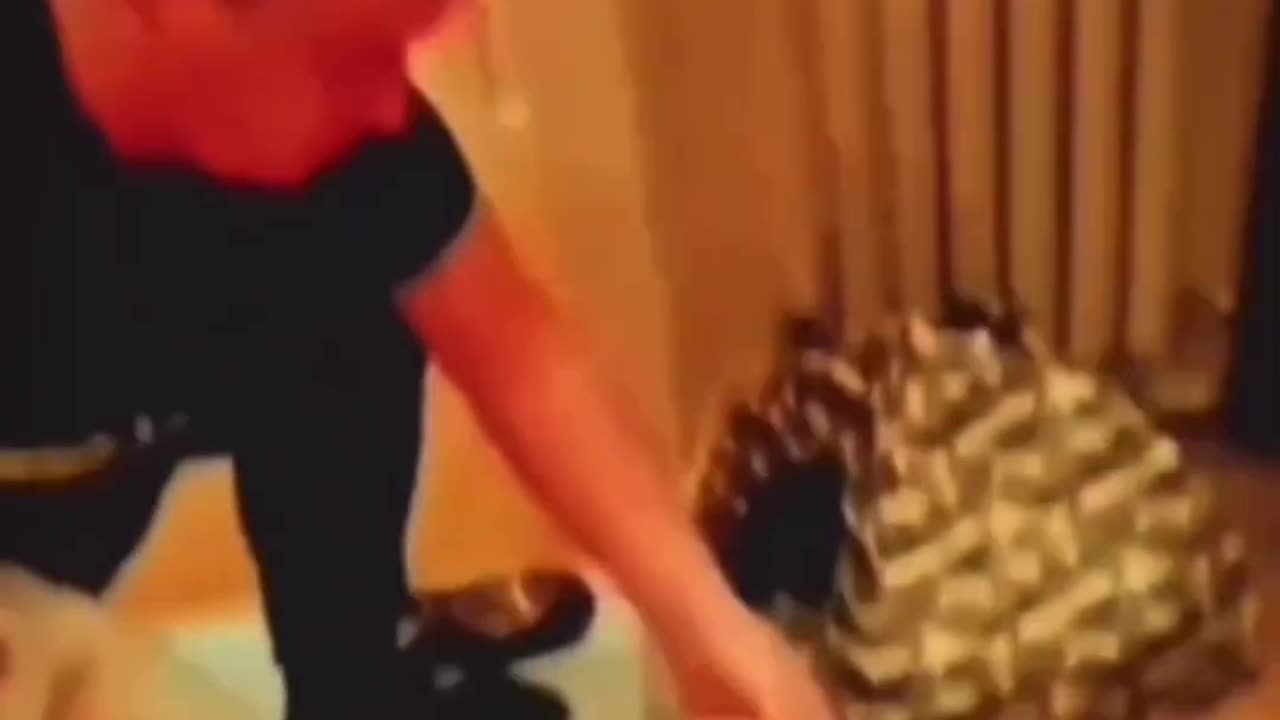 instagram Best Reels Funny Compilation
