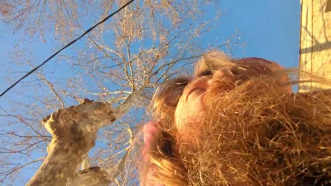 2023-02-02 (5) - pain au chocolat - Twitch Triskelina