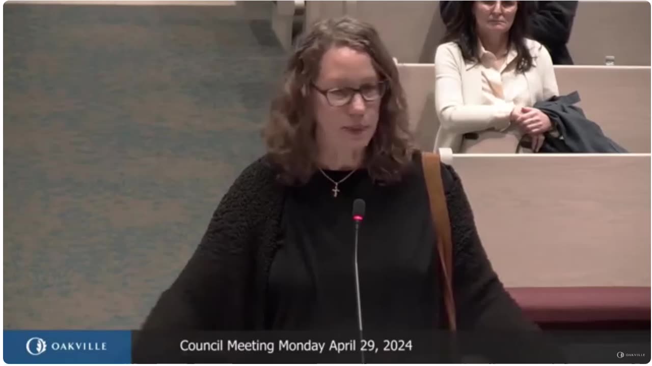 IDEA Multi-Year Plan Town of Oakville Council Meeting