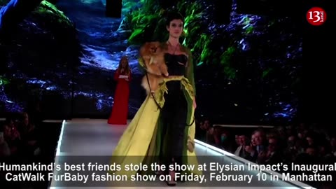 "CATWALK FUR BABY"-ELYSIAN IMPACT NEW YORK FASHION WEEK SHOW: Ten models wearing outfits...