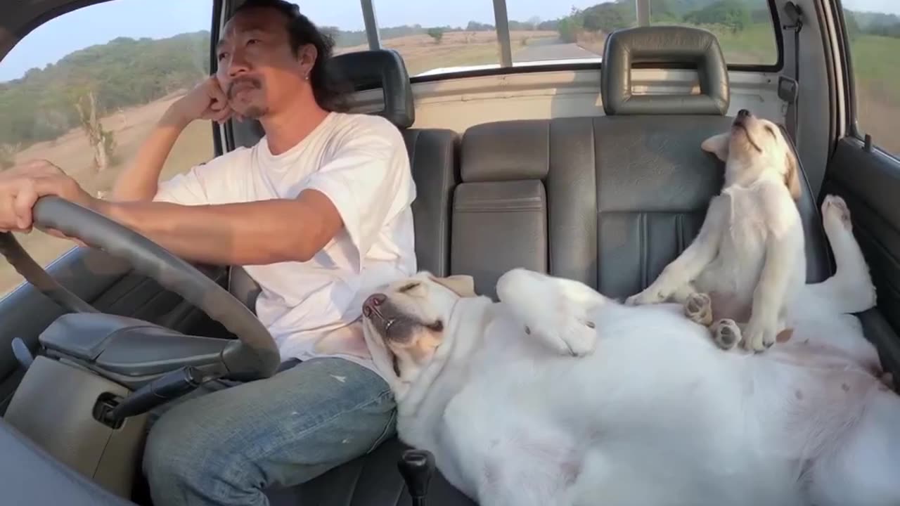 I want that kind of stress in my life