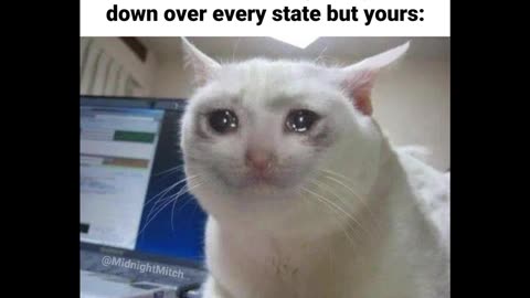 Random Memes 189