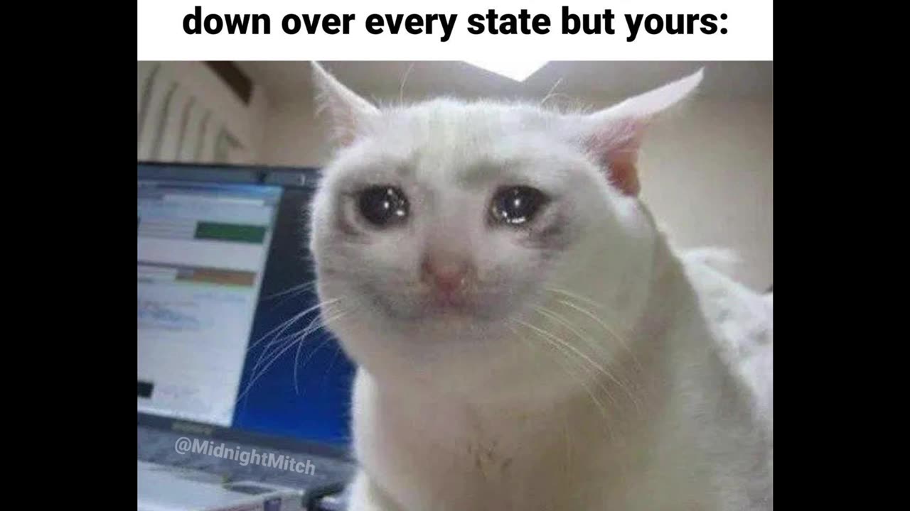 Random Memes 189