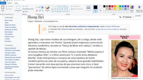 HUMOR A BIOGRAFIA DA ZHANG ZIYI
