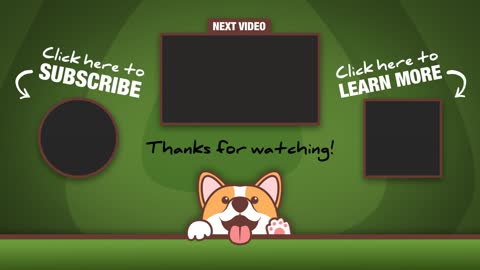 Funny cat