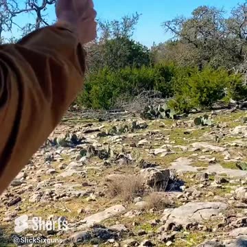 Switching to your pistol is always faster than reloading🤠#shorts