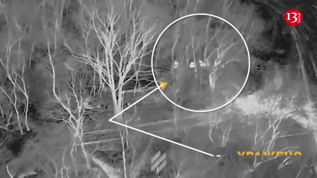 Russians seeking to hide in forest “hunted" with the help of night vision device