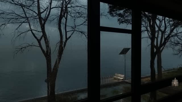 A Walk in the Rain Relaxing with the Sounds of Heavy Rain