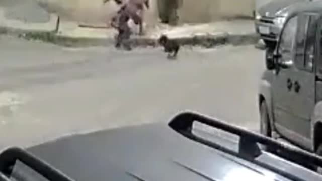 The dog grabbed the foot that was on the braking side so dude could not stop😂😂😂