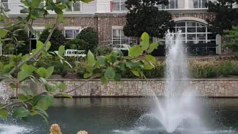 The Bowl Park