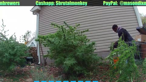 Clip from GardenVlog #12