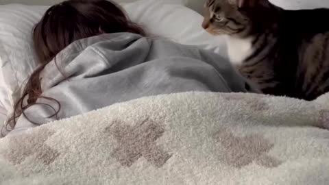 Best funny animal