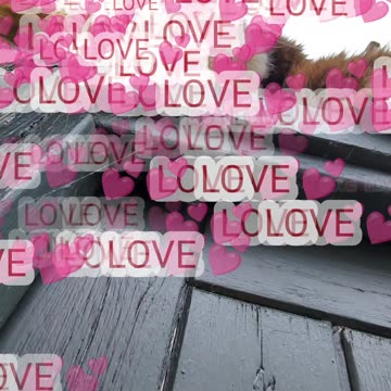 High cat in the mizzle...a new friend!