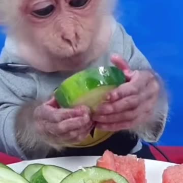 Gr liton best fun TV, Funny Video Clips # - 71