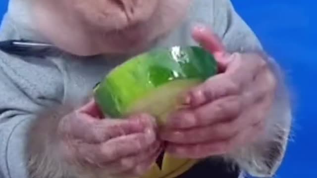 Gr liton best fun TV, Funny Video Clips # - 71