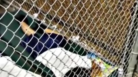 Media can never be trusted