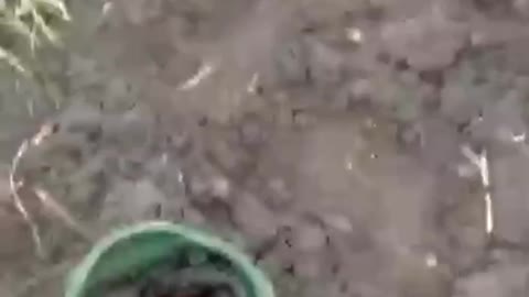 Russians Leave Helmets Full of Bloor