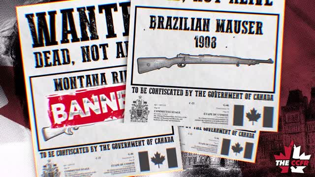 Who is spreading misinformation about gun bans?