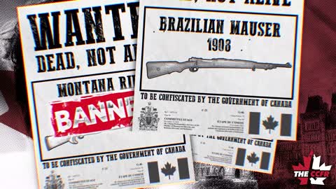 Who is spreading misinformation about gun bans?