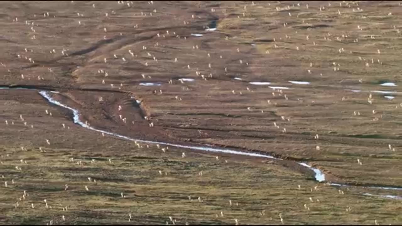 The Breathtaking Beauty of Nature | HD