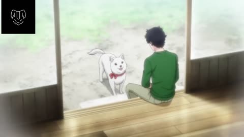 Decead dog comes back as a fairy