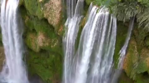 Beauty of Nature