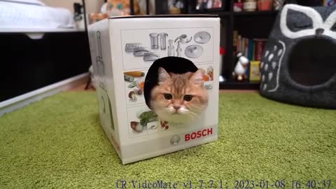 I love household appliances!