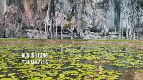 Ipoh's Hidden Gem: Rocky Farm Adventure