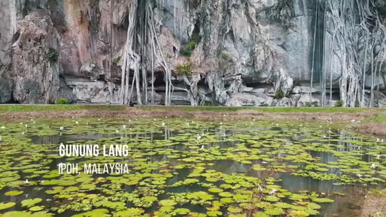 Ipoh's Hidden Gem: Rocky Farm Adventure