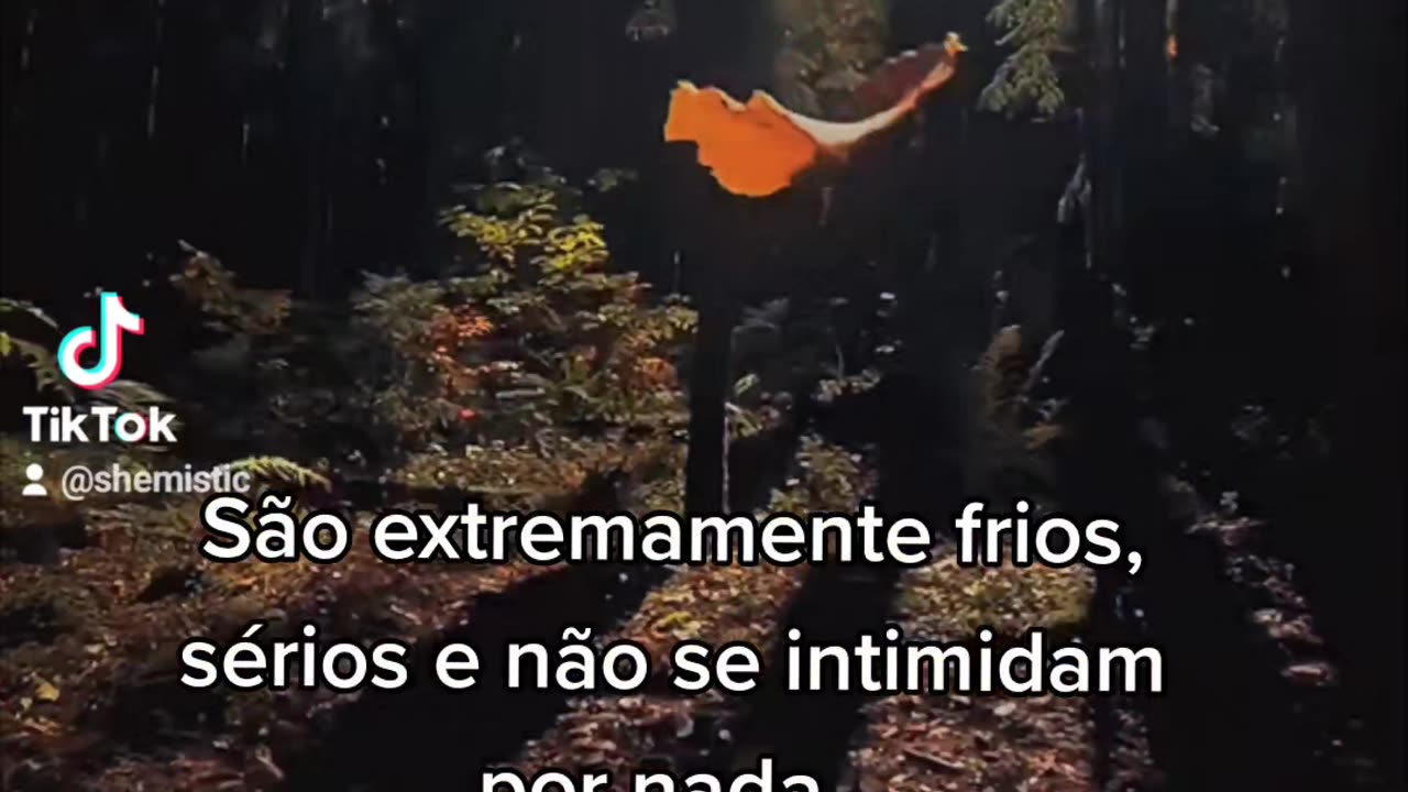 Filhos da terra e seu lado negativo