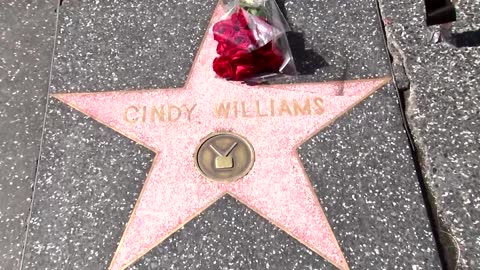Flowers placed at Cindy Williams' Hollywood star
