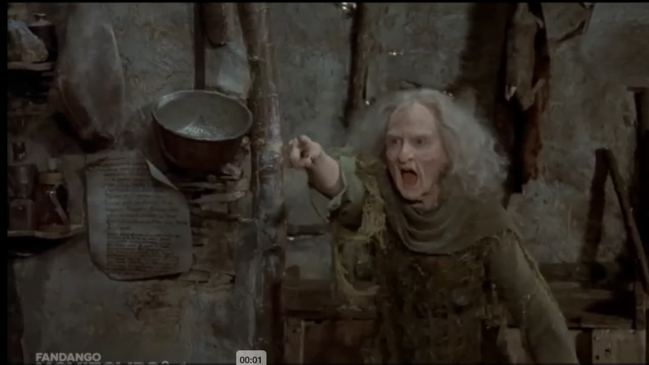 Liar! Scene from Princess Bride