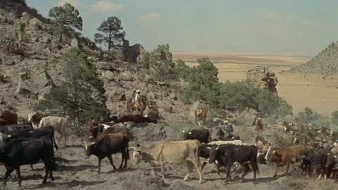 The Tall Men (1955) Clark Gable, Jane Russell & Robert Ryan - Full Movie