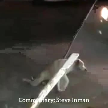 Not gonna lie, he got me