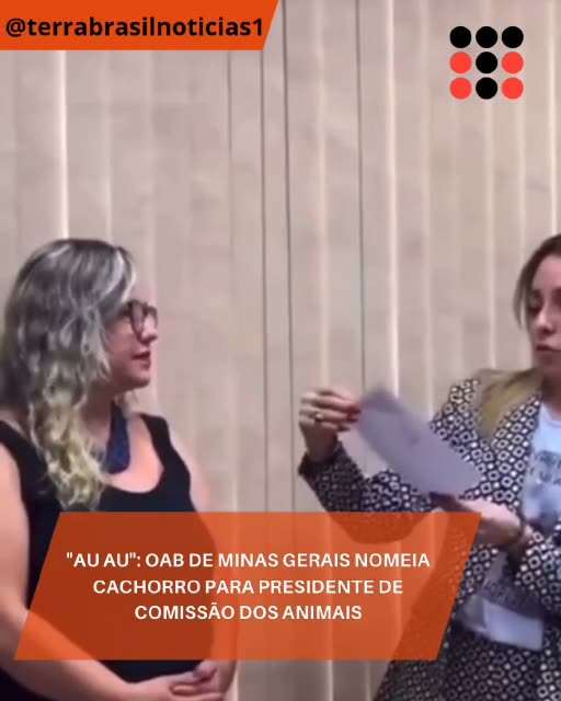 "Au Au": OAB de Minas Gerais nomeia cachorro para presidente de comissão dos animais