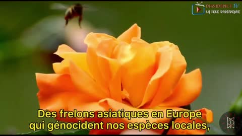 LA DIVERSITÉ