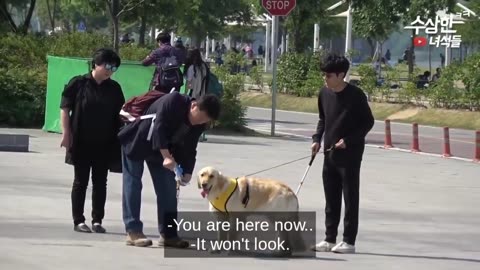 Top 10 Best Pranks in Korea