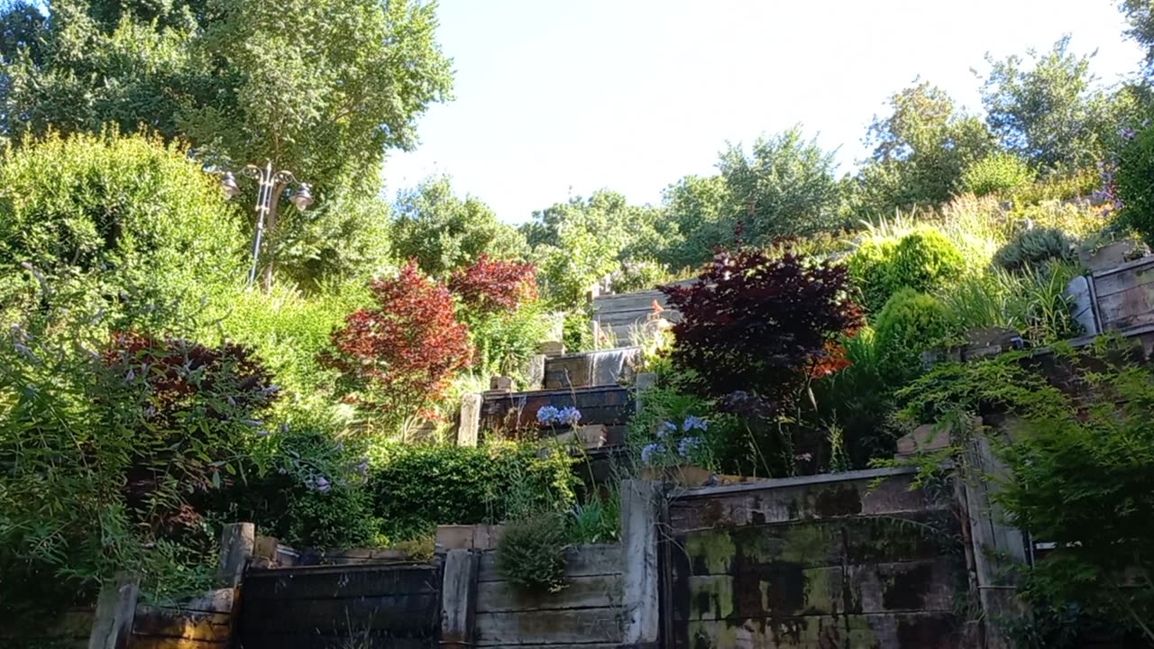 Beautiful waterfall in the garden between the trees