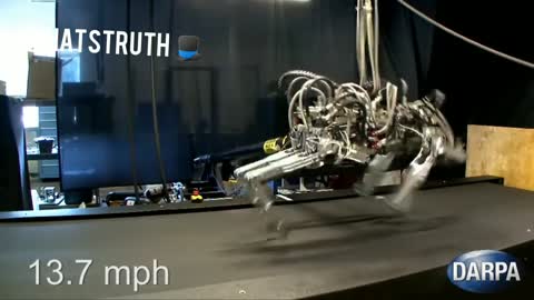 DARPA cheetah bots achieving an impressive speed on the tracking test zone video proof